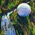 Jim Barbo's profile image