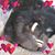 Kim Waterfield's profile image
