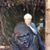 Lynne O'Connor Lewis's profile image