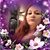Hilton Rebecca Crowe Dunaway's profile image