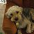 Kathy Blancato's profile image