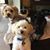 Debbie Jones's profile image