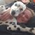 Becky Thibeault's profile image