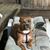 Tracy Zenor's profile image