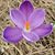 Kathryn Minnick's profile image