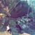 Christine Bhinder's profile image