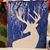 Diane Koss's profile image