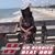 Lisa Buckner's profile image
