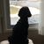 Deb Bitler Kohl's profile image