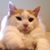 Jody Harbin's profile image