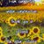 Allison Fairley's profile image