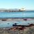 Cheryl Spolar's profile image