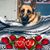 Sandy Largey Zarnoch's profile image