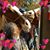 Lori Berry's profile image