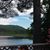 Ann Ruth Holmes Nimberg's profile image