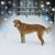 Mary Siemer Ahearn's profile image