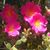 Linda Holsworth's profile image