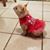 Cindy Collier's profile image