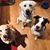Debbie Kocher's profile image