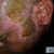 Christopher Michael Simpson's profile image