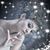 Diane Freyer's profile image