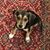 Mark Dunnett's profile image