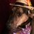 Laura Leadlove-Woepke's profile image