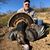John Paul Plemons's profile image