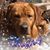 Eric Niederriter's profile image