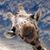 Laura Morris's profile image