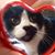 Lori Acuna's profile image