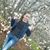 Dina Stepanova's profile image