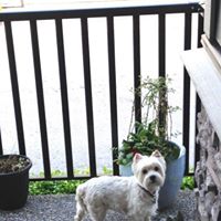 Gord Shea's profile image