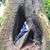 Shannan Christine's profile image