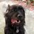 Ellen McKim Sattler's profile image