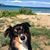 Kendra Gossett's profile image