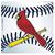 Patti Lash's profile image