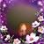 Cassi Pego's profile image