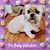 Kathleen Hepworth Bessette's profile image