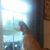 Beth Bedwell Timms's profile image