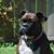 Sam Bates's profile image