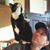 Joe Sanocki's profile image