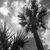 Tara Wilson Tucker's profile image