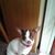 Sherry Heska's profile image