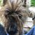 Tim Ross's profile image