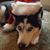 Heidi Rodgers Riley's profile image