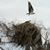 Tammy Nowikowski Brown's profile image