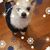 Vicki Carbajal's profile image