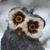 Bob Schumann's profile image