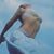 Ann Marotti's profile image